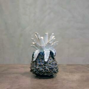 Small Blue Pineapple