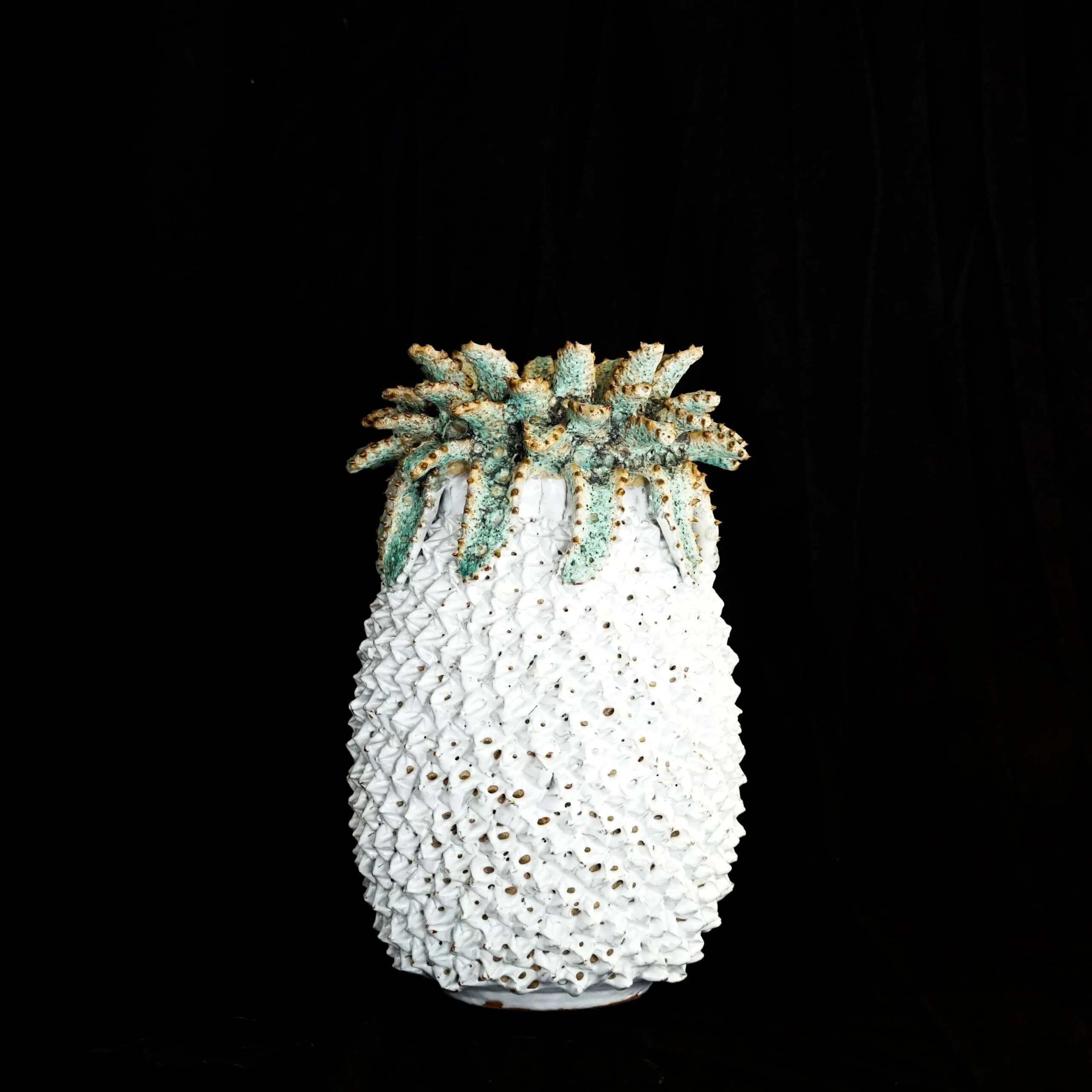 White Pineapple with green leaves