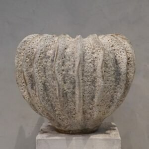 White Coral Pumpkin