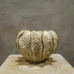 White Coral Pumpkin (S)