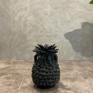 Mini Black Pineapple