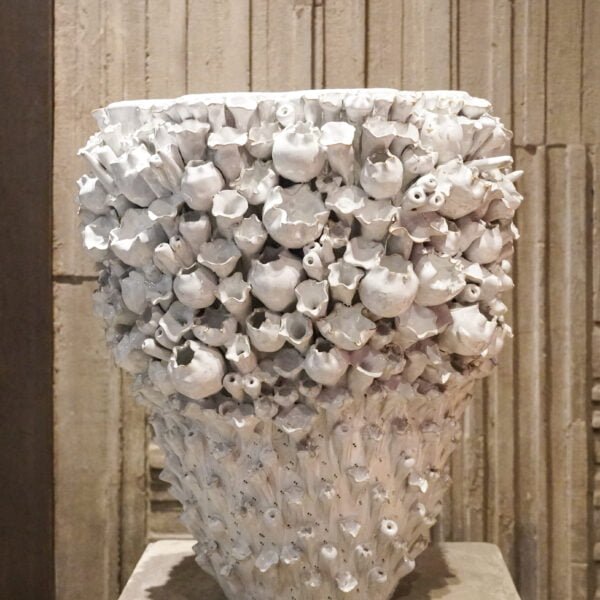 Giant white coral