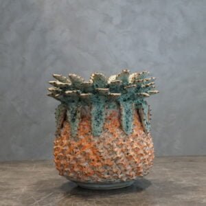 Orange medium pineapple