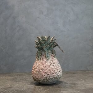 Small pink pineapple