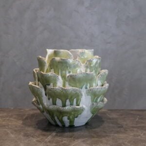 White Green Cabbage