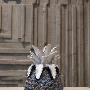 Navy Small Pineapple