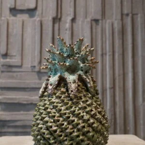 Army Green Limited Pineapple