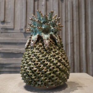 Army Green Limited Pineapple