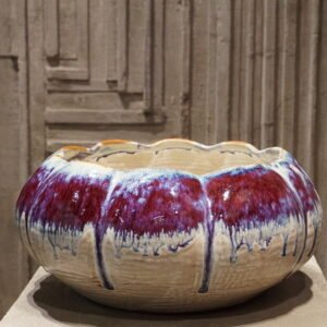 White and Burgundy Bowl