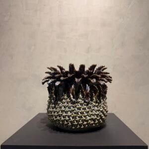 Limited Medium Fat Burgundy effect Pineapple