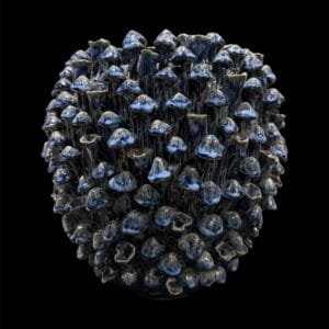 Medium Blue Mushroom