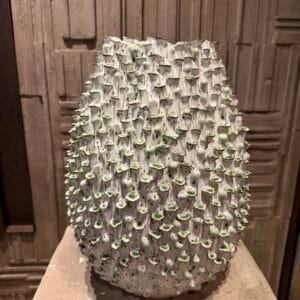 Green Mushroom