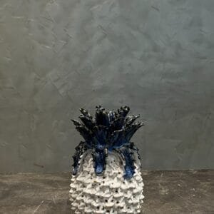 Mini Pineapple Leaf blue body white